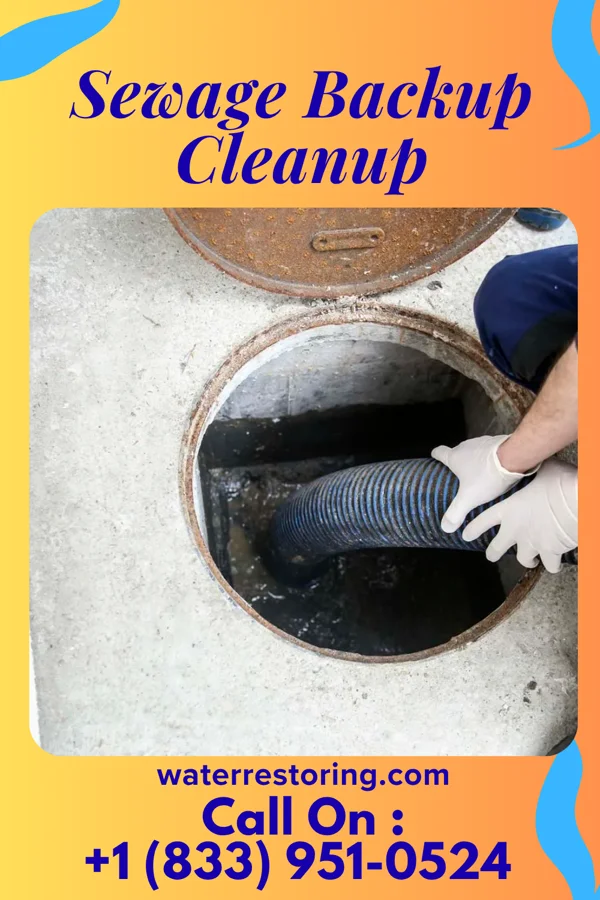 Sewage Backup Cleanup in Arnold, MO